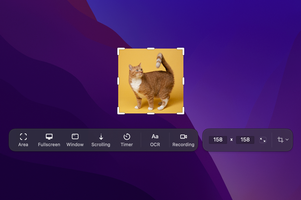 CleanShot X Review For Mac – Deep Dive & Verdict